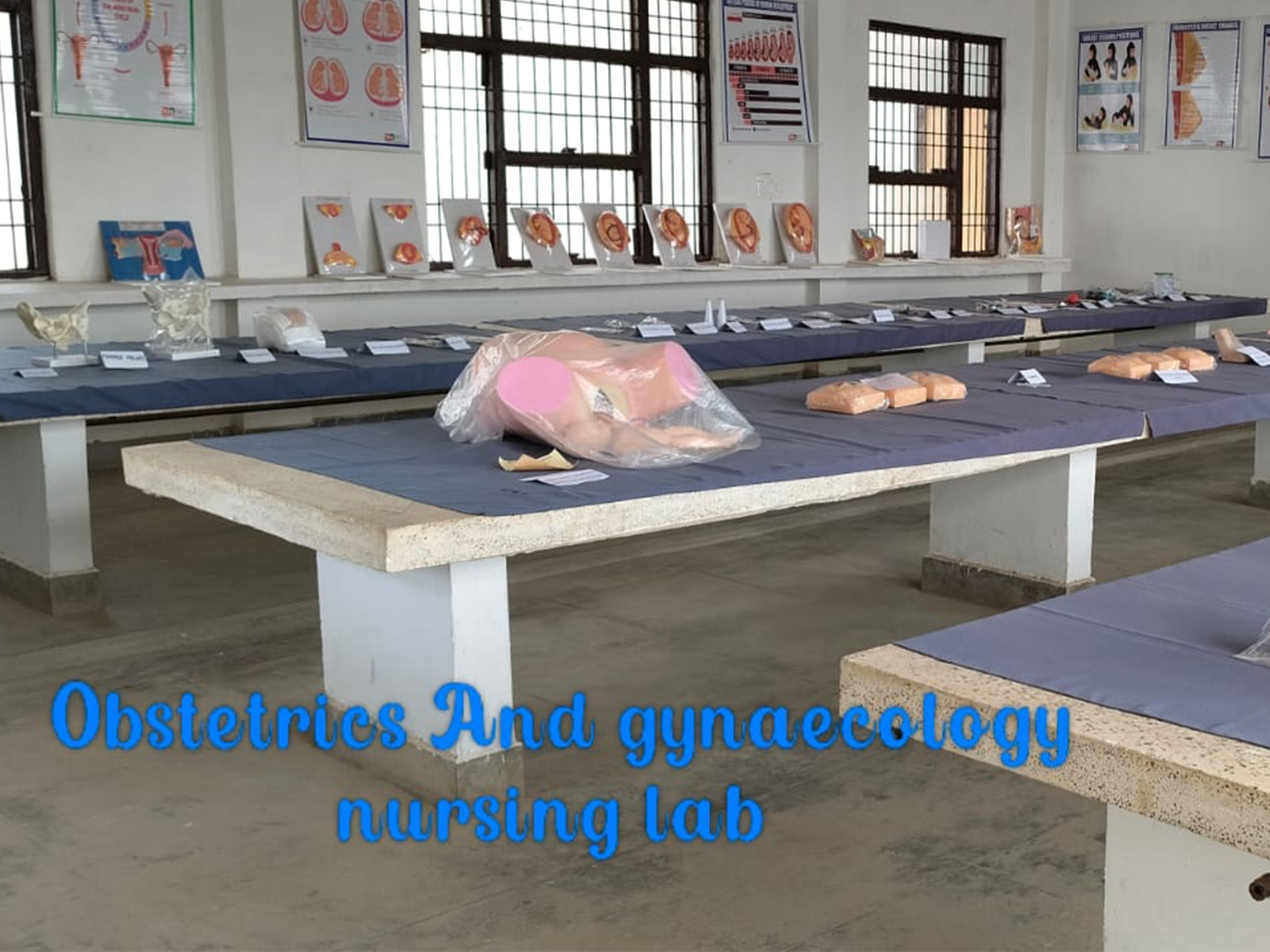gallery